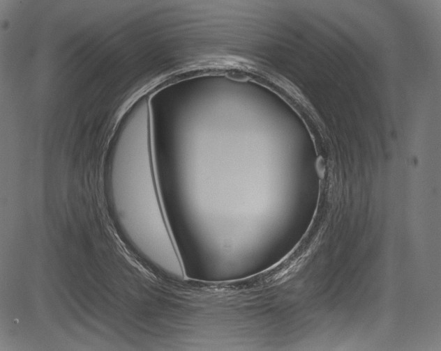 X0000085210834200703090827