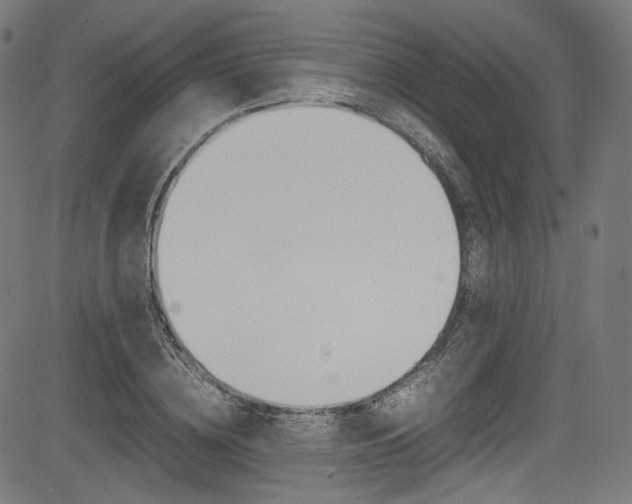 X0000085210836200703090827