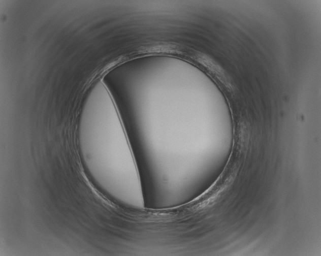 X0000085210841200703090827