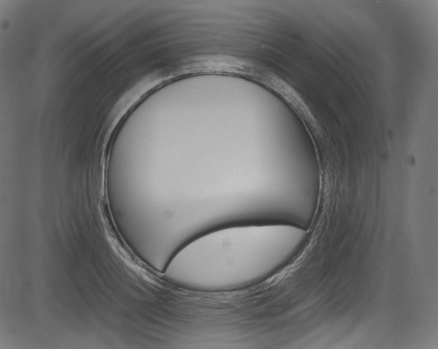 X0000085210844200703090827