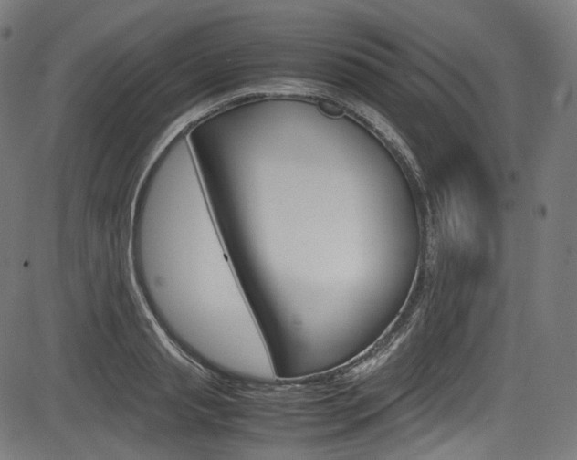 X0000085210845200703090827