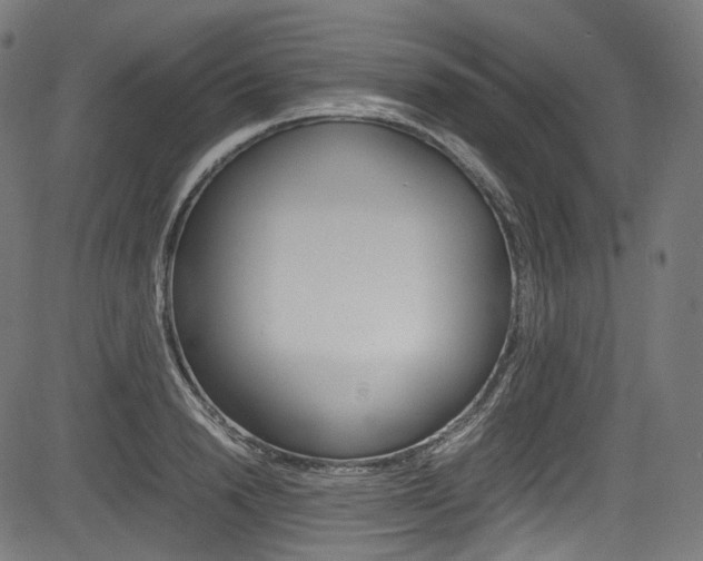 X0000085210846200703090827