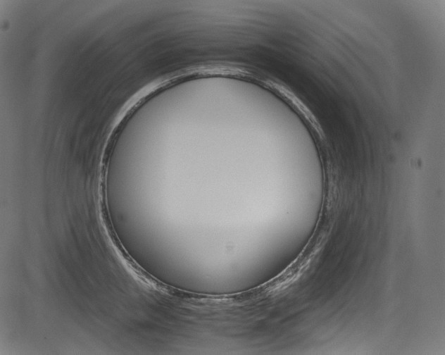 X0000085210853200703090827