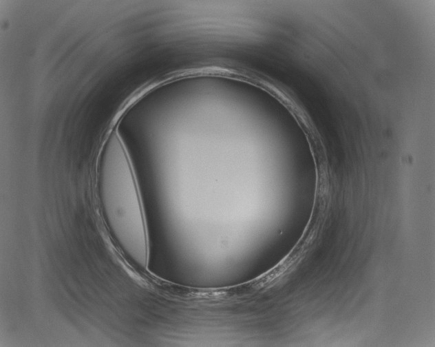 X0000085210858200703090827
