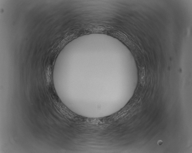 X0000085210866200703090826