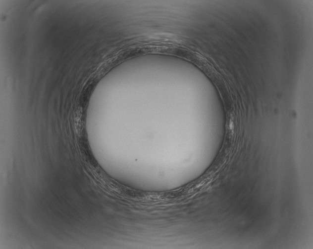 X0000085210867200703090826