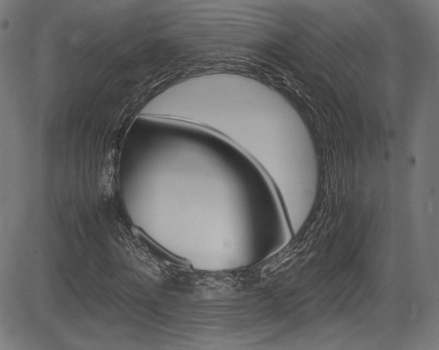 X0000085210868200703090826