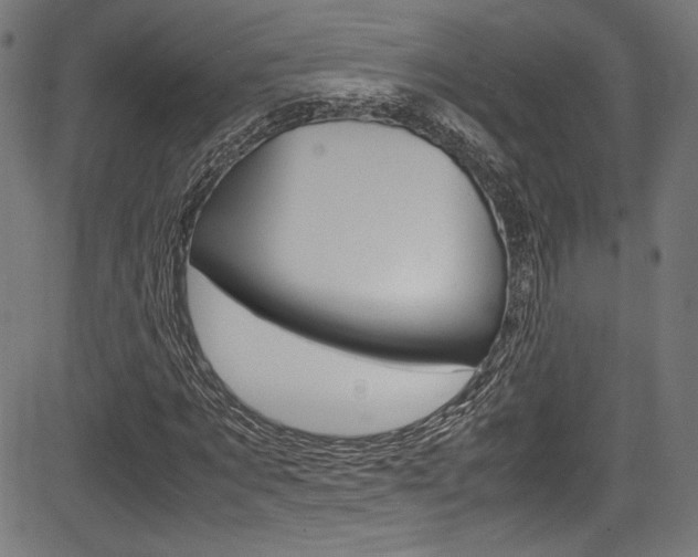 X0000085210869200703090826
