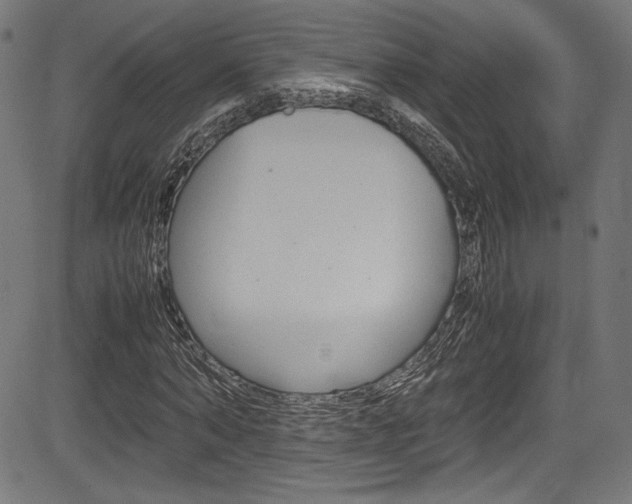 X0000085210870200703090826