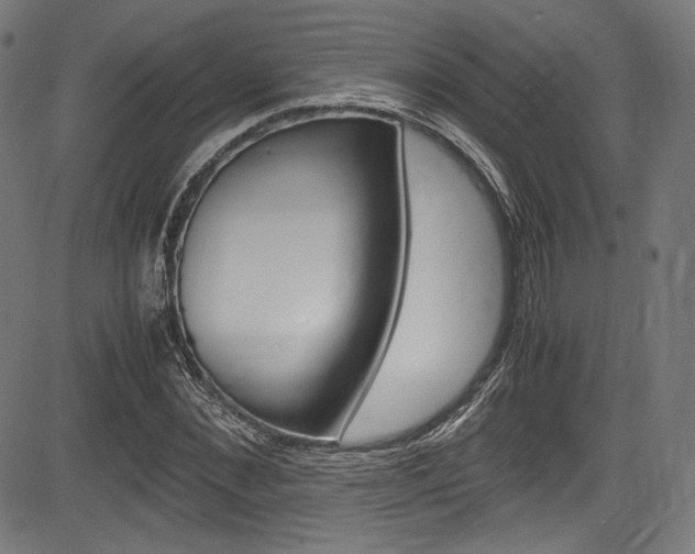 X0000085210876200703090826