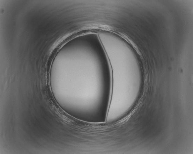 X0000085210877200703090826
