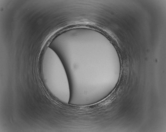 X0000085210879200703090826