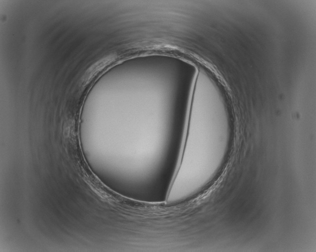 X0000085210881200703090826