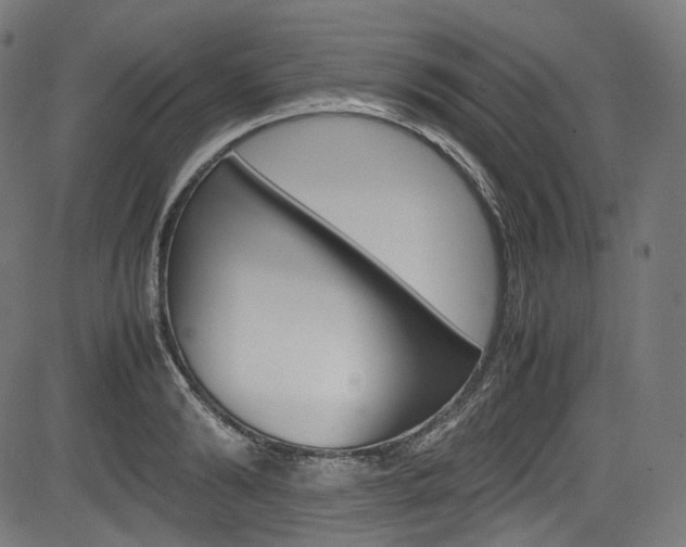 X0000085210894200703090826