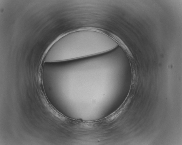 X0000085210908200703090826