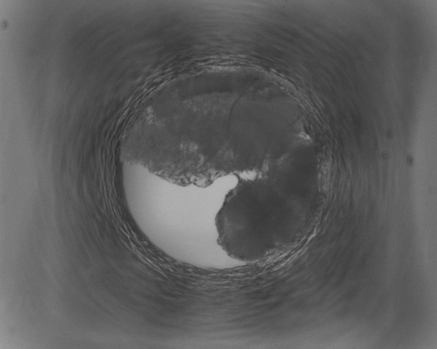 X0000085210913200703090825