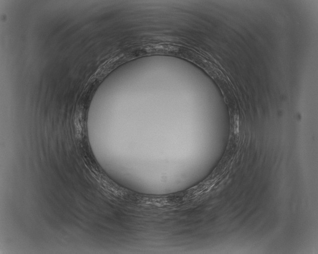 X0000085210915200703090825