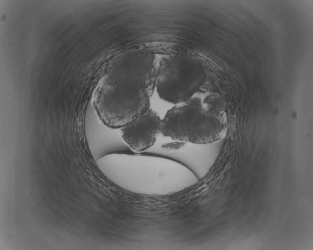 X0000085210917200703090825