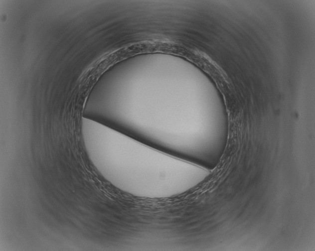 X0000085210919200703090825