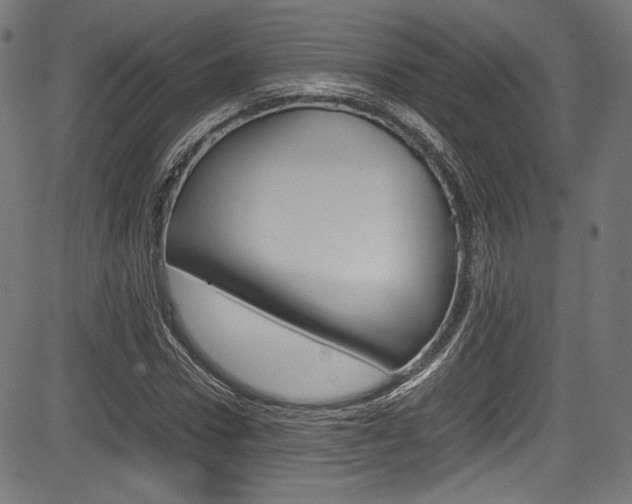 X0000085210922200703090825