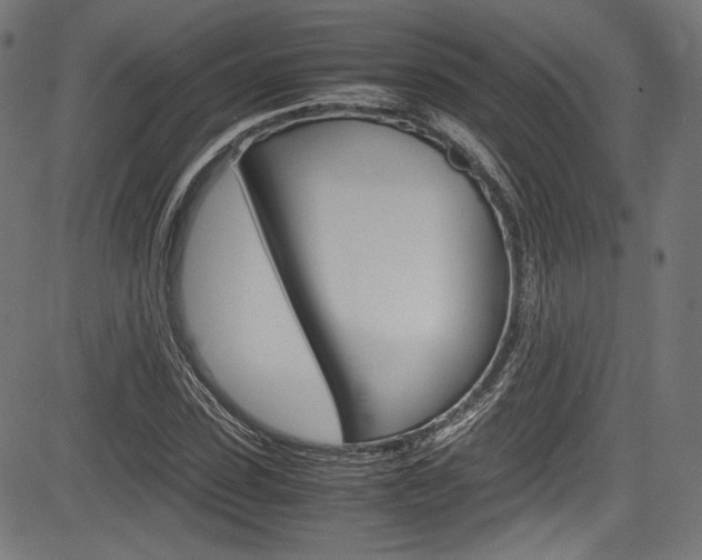 X0000085210923200703090825