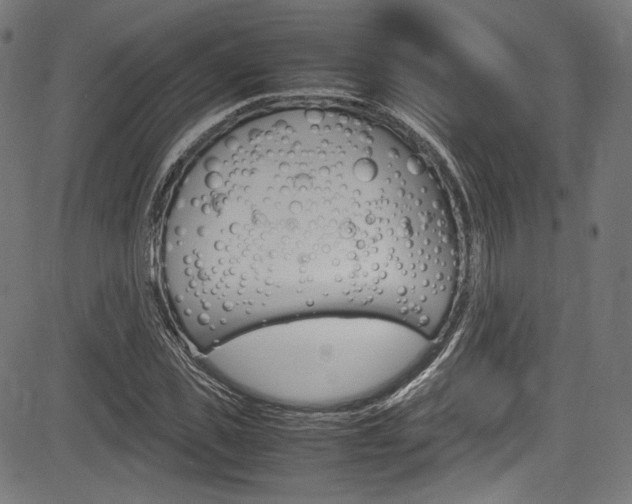 X0000085210925200703090825