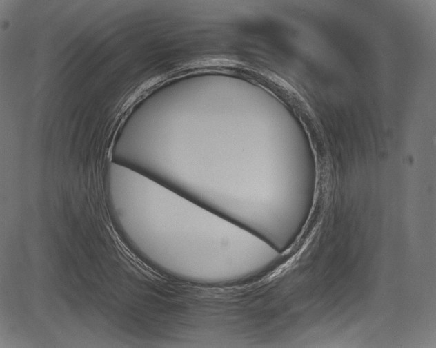 X0000085210929200703090825