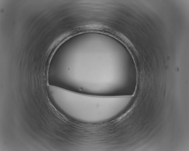 X0000085210930200703090825