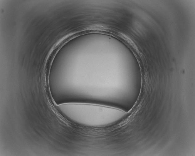 X0000085210931200703090825