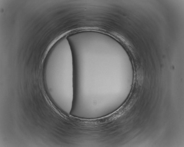 X0000085210933200703090825