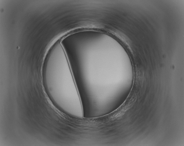 X0000085210935200703090825
