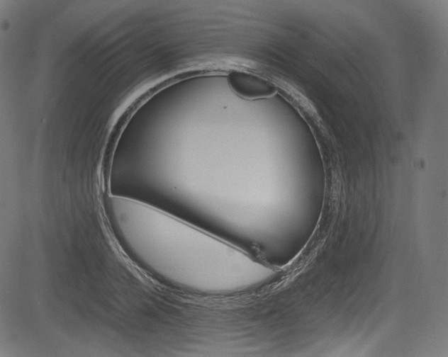 X0000085210936200703090825