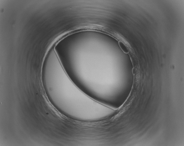X0000085210940200703090825