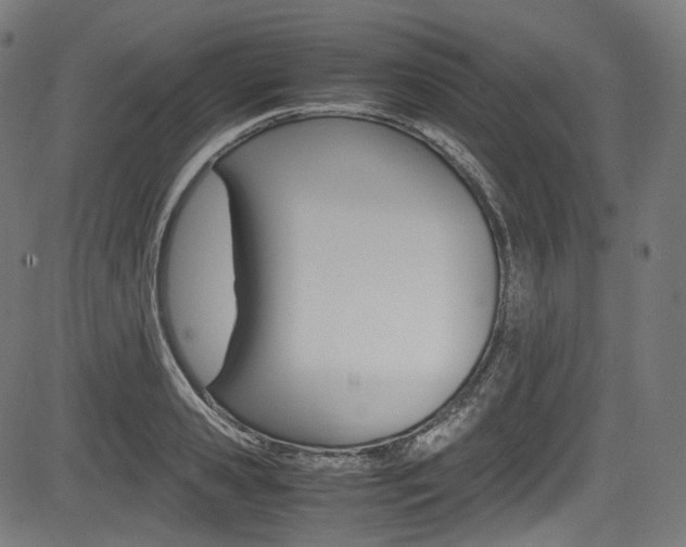 X0000085210941200703090825