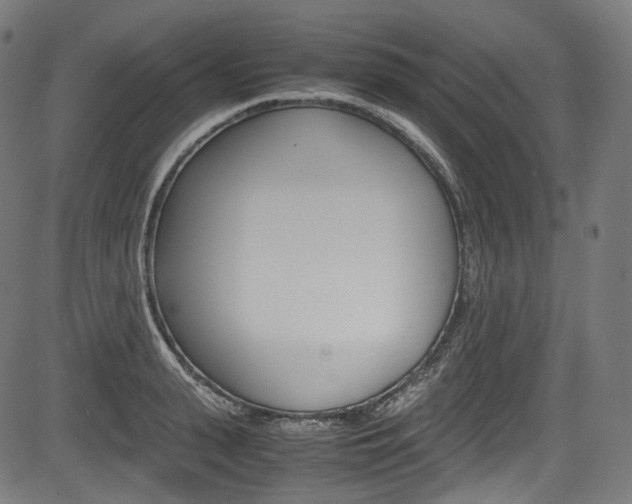 X0000085210943200703090825