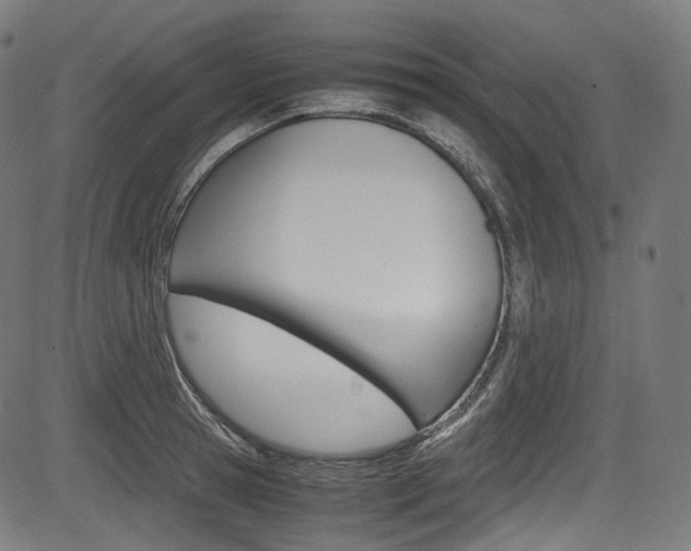 X0000085210945200703090825