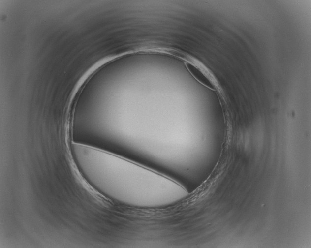 X0000085210955200703090825