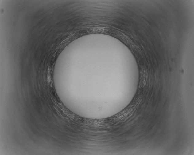 X0000085210962200703090825