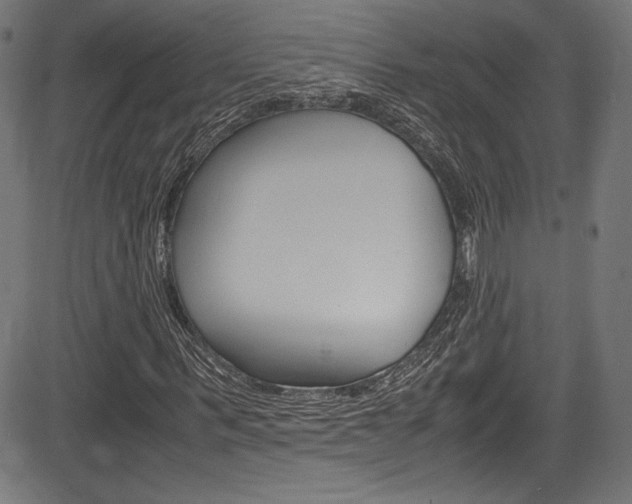 X0000085210963200703090825