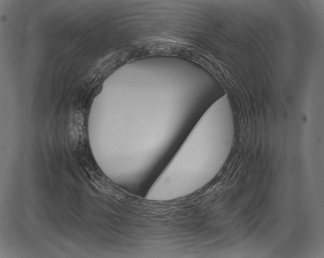 X0000085210964200703090825