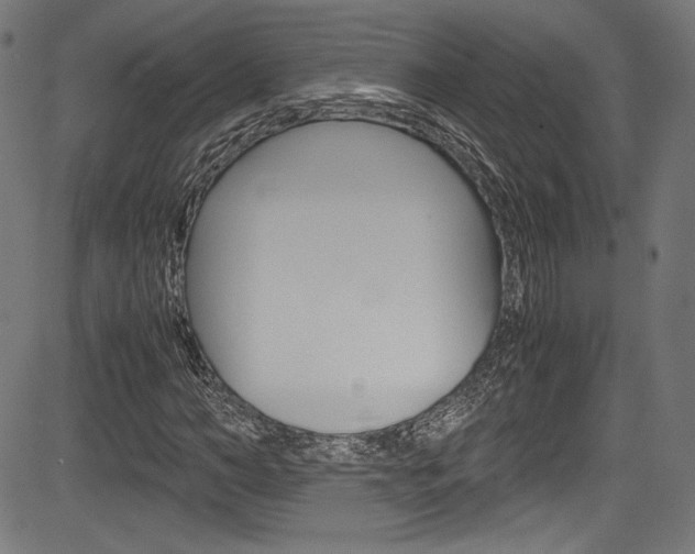 X0000085210966200703090825
