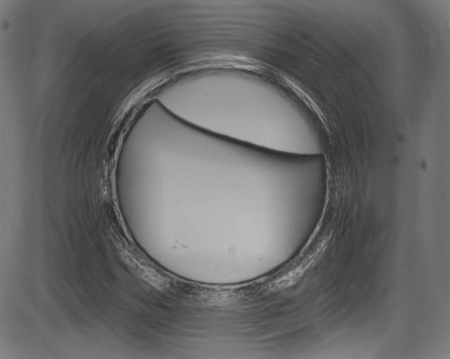 X0000085210970200703090825