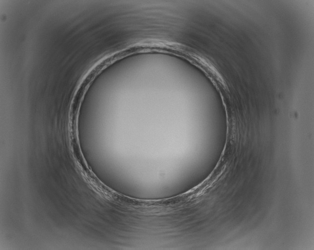 X0000085210976200703090824