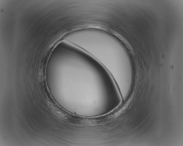 X0000085210977200703090824