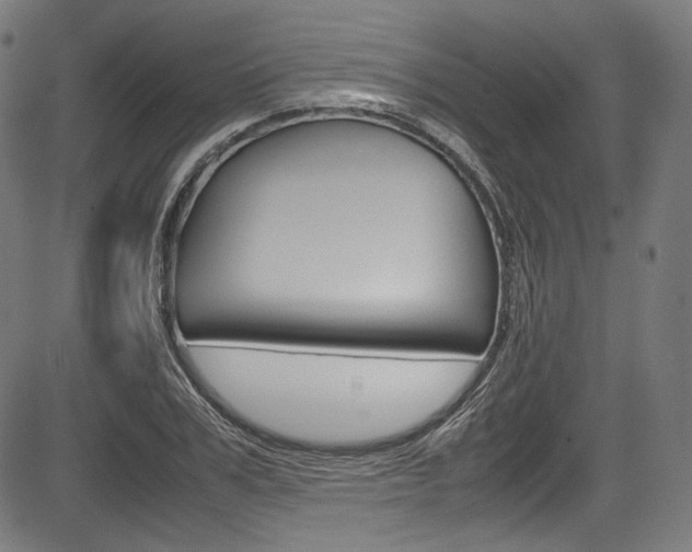 X0000085210979200703090824