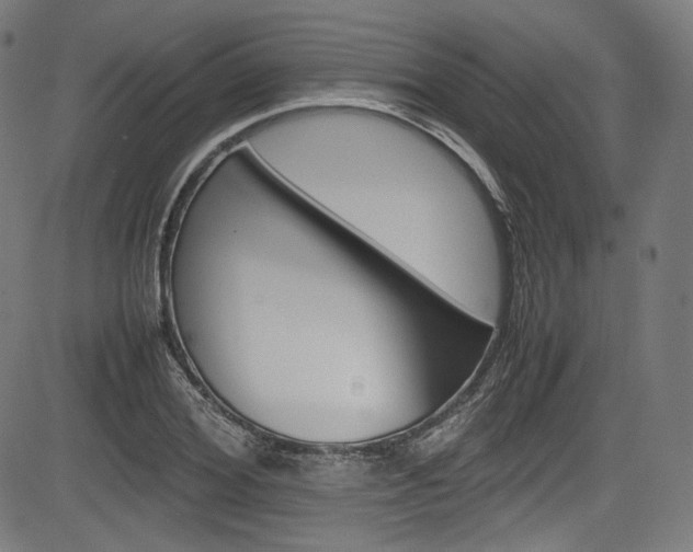 X0000085210980200703090824