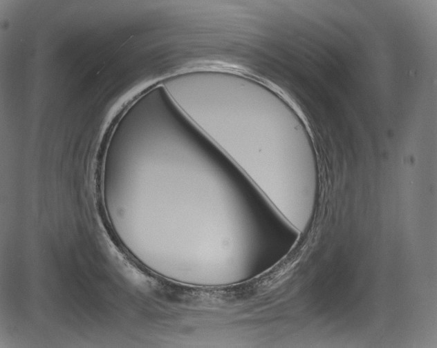 X0000085210995200703090824