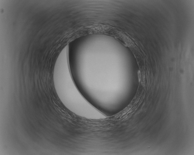 X0000085211010200703090823