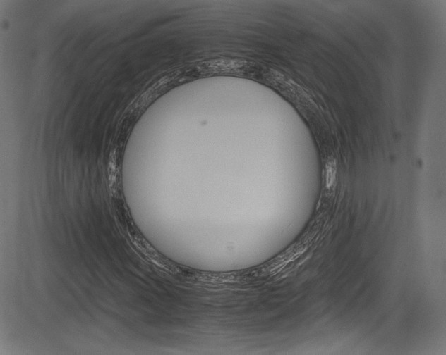 X0000085211011200703090823