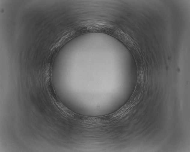 X0000085211012200703090823